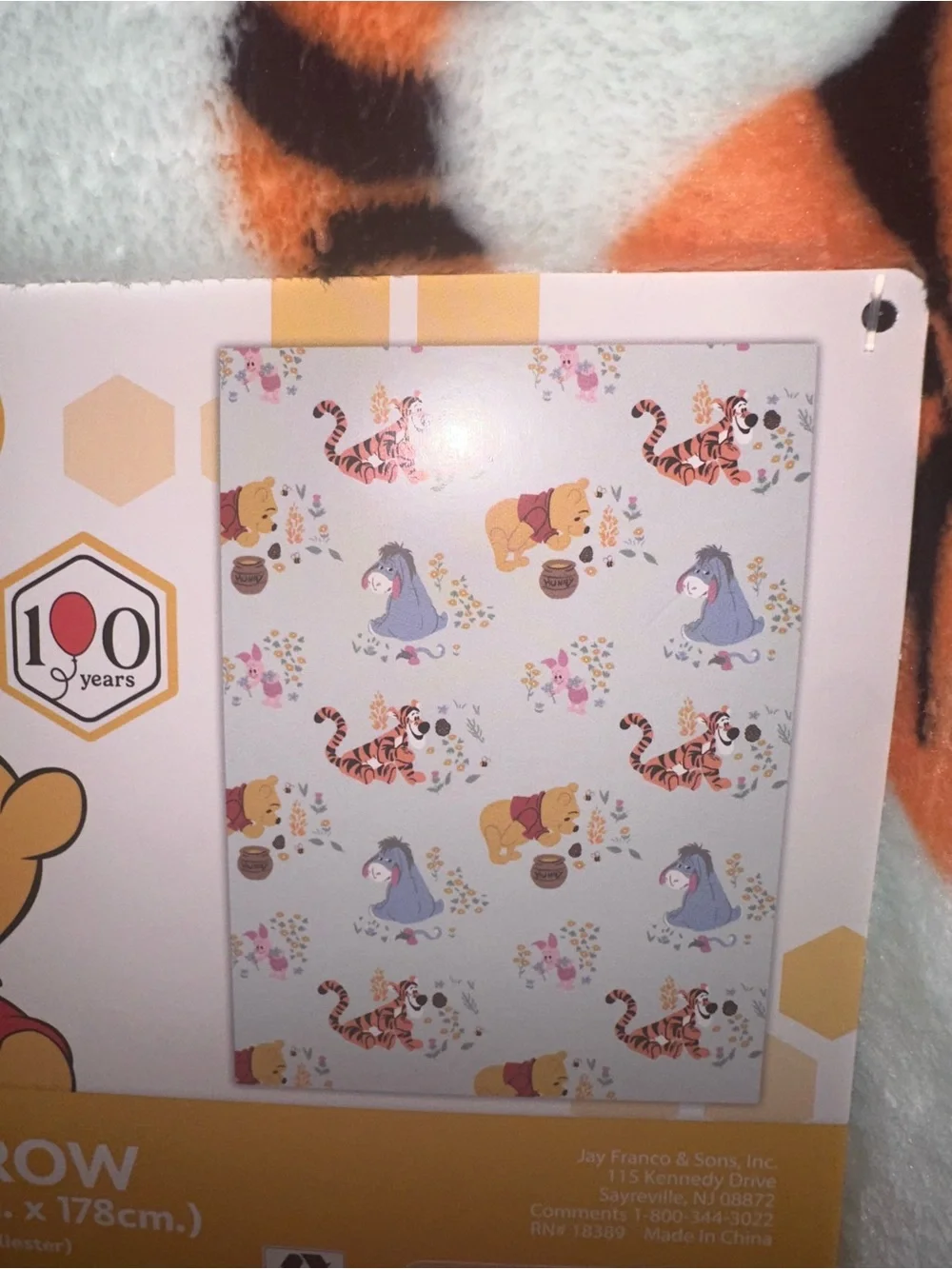Disney Winnie the Pooh Pale Mint Plush Throw with Character Print